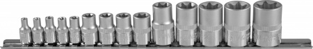 JONNESWAY Набор головок торцевых 1/4", 3/8", 1/2"DR, внешний TORX, на держателе, Е4-E24, 14 предмето